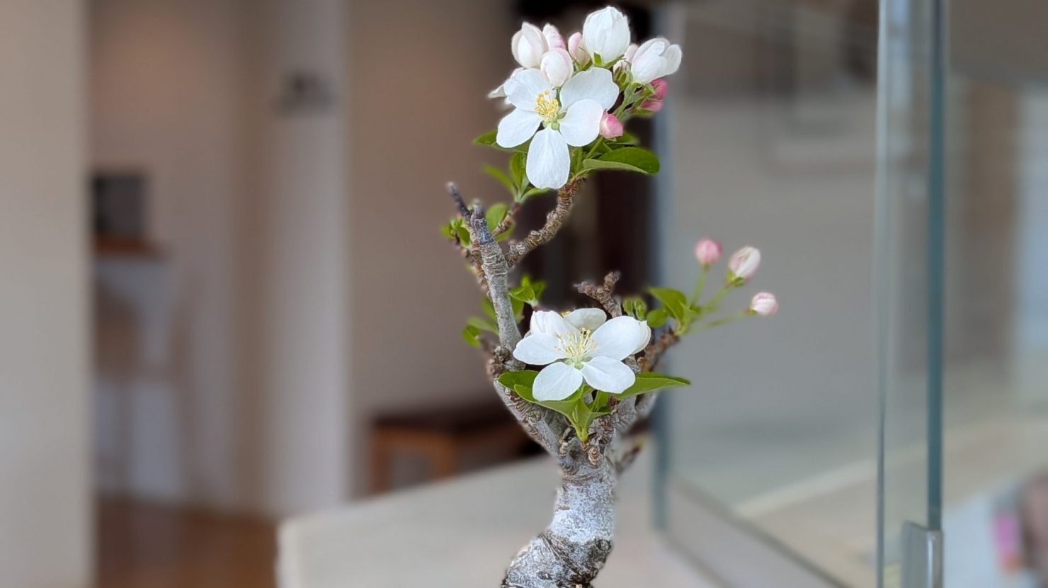 PXL_20260328_054031333.PORTRAIT